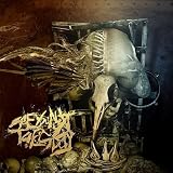 Parasite