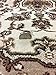 Traditional Oriental Cream Medallion Design 2' X 3' Area Rug