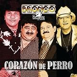 Bronco El Gigante de America Coraz&Atilde;&sup3;n De Perro