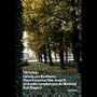 Beethoven: Piano Concertos Nos. 4 and 5