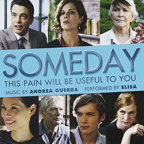 Someday This Pain Will Be Useful to You Various Artists