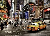 Schmidt Spiele 58150 - Puzzle, New York, Times Square, 1000 Teile