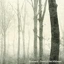 Scars of the Midwest