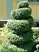 Photo Image Keyring Key Ring Funny Cut Bush 1