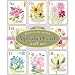Fairies in the Garden Alphabet Wall Cards