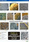 Guide to common urban lichens. 2, (On stone and soil)