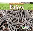 Ra&iacute;ces (&iexcl;Encuentra las diferencias! Plantas) (Spanish Edition)