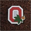 Ohio State Buckeyes NCAA Stepping Stone