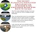 The Secret Marketing, Godfather Principles and eCommerce for Friendship Bands Web Biz 3 CD Course