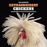 extraordinary chickens 2016 wall calendar
