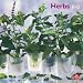 Confronta prezzi Herbs 2012 Wall Calendar