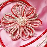 Upђ߁uԃ`[tsN~ԁ~Vo[v(䂩)ɂ