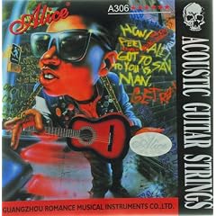 Saiten Gitarrensaiten Akustikgitarre Westerngitarre 306