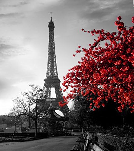 Akey living  72 x 72 inch Polyester Eiffel Tower Monochrome and Pink French Kiss Romance Parisian Romantic Bath Decor Curtain, Pink