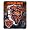 Chicago Bears