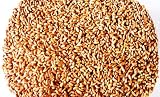 Hard Red Winter Wheat - 1 Lbs - Excellent For Growing Wheatgrass to Juice, Food Storage, Grinding to Make Flour & Bread, Grain, Ornamental Wheat Grass, and Sprouting Seed