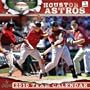 Houston Astros 2010 Wall Calendar