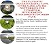 Book The Fantastic Generate Extra Cash, Inner Game and Biz Networking for Vitamins & Supplements Businesses 3 CD Combo Pack