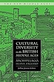 Cultural diversity in the British Middle Ages : archipelago, island, England