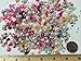 PEPPERLONELY Brand 50 Grams (Apprx 1200PC+) Mixed Color & Size Acrylic Cabochons Flat Back Pearls