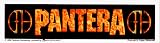 Pantera - Orange and Black Rectangle Logo with Symbols - Sticker / Decal