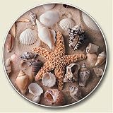 SEA SHELL ocean beach Auto Coaster, Single Coaster for your car Cup Holder