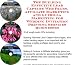 The Guerilla Marketing, Building Effective Lead Capture Web Pages, Affiliate Marketing for Wedding Invitation Printing Services Businesses