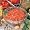 Omaha Steaks 16 (1 lb. pkgs) Omaha Steaks Premium Ground Beef