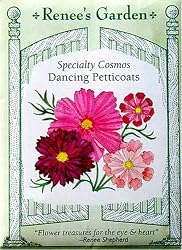 Cosmos Dancing Petticoats Heirloom Seeds 120 Seeds