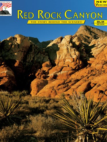Nevada