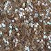 3mm Sequins Flat Round Topaz Dark Amber Semi Frost Rainbow. Made in USA