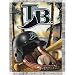 Tampa Bay Devil Rays MLB Woven Tapestry Throw (Home Field Advantage) (48"x60")