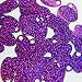 Large Hole Oval Sequin 1.25