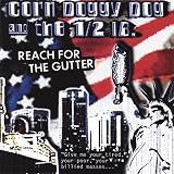 Skunk Records Sampler - Fall 1998