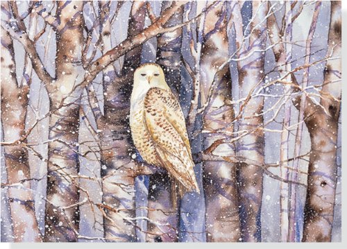 Snowy Owl Holiday Boxed Cards (Christmas Cards, Holiday Cards, Greeting Cards)