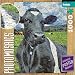 Buffalo Games Photomosaic: Cow