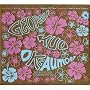 O Ke Aumoe: Hawaiian Slack Key Guitar