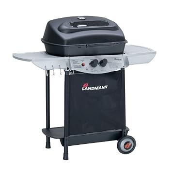 barbecue gaz compact