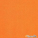 生のり付き壁紙/1m単位 カット販売/東リ/パワー1000/不燃認定[カラー＆ベーシック]/【CC-WVP7069】/JQ