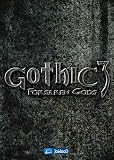 Gothic 3: Forsaken Gods (PC DVD)