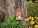 "Do Not Disturb" Fairy Statuary with Solar Light