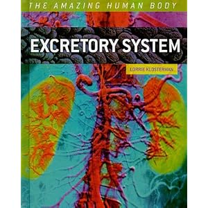 Excretory System (Amazing Human Body) 61qVjEZWGFL. SL500 AA300 Excretory System (Amazing Human Body)
