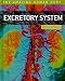 Excretory System (The Amazing Human Body)