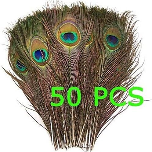 CITY Pack of 50pcs Natural Peacock Tail Feathers about 26-30cm Long - Home Decor