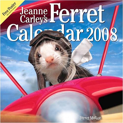 Ferrets