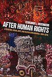 After Human Rights: Literature, Visual Arts, and Film in Latin America 1990-2010 (Pitt Illuminations)