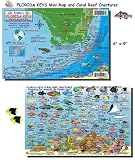 Florida Keys Reef Creatures Fish ID