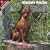 2009 Miniature Pinscher Wall Calendar