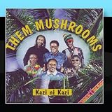 Kazi Ni Kazi