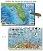 Franko's Florida Reef Fish and Creature Guide